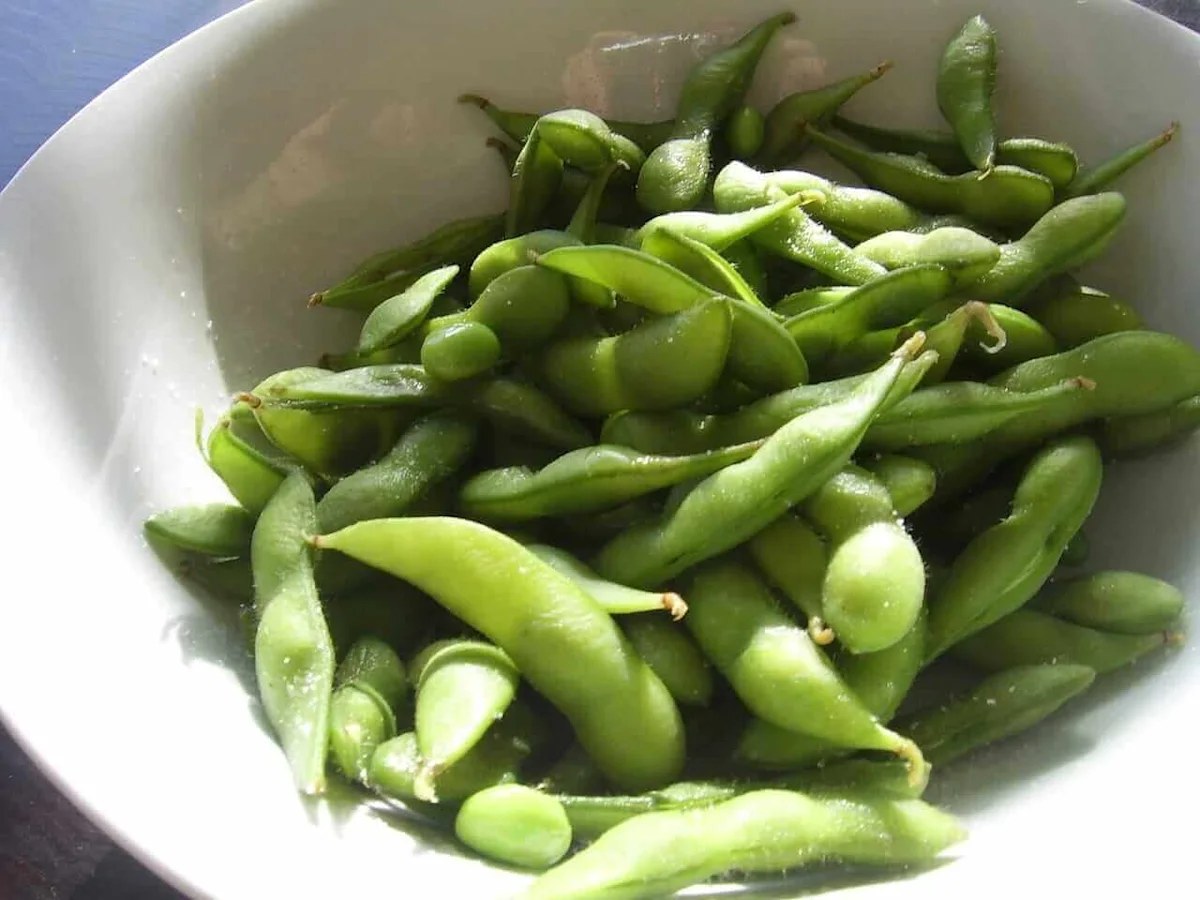 Soybeans Hold onto Wednesday’s Bounce into the Close