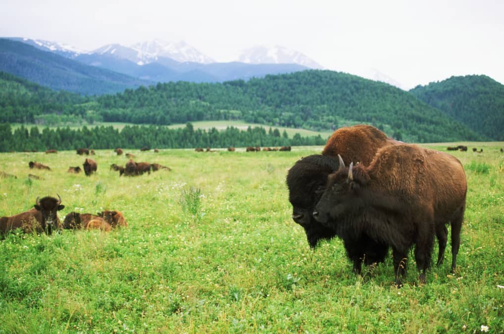 A tax break for preserving land has drawn IRS scrutiny. Here’s when it still makes sense