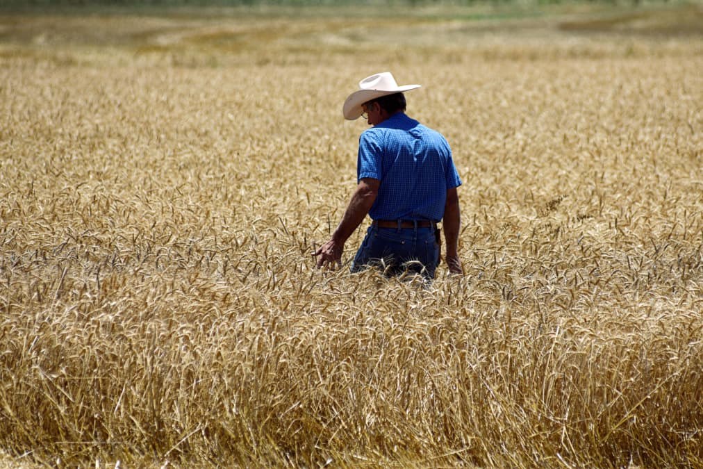 From 'Super El Niño' to Europe’s extreme heatwave: How this year's weather shocks are rattling commodity markets