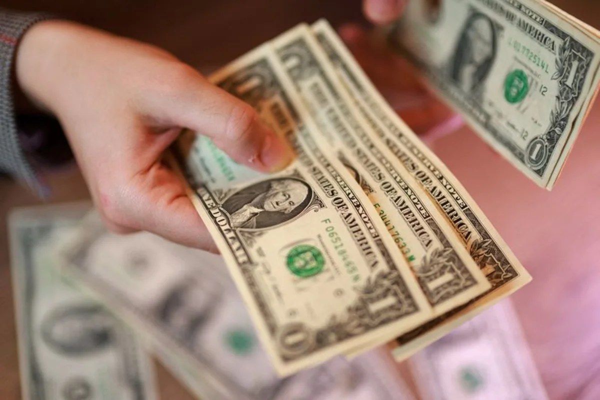 Dollar holds steady on safe-haven demand, ends down on the week