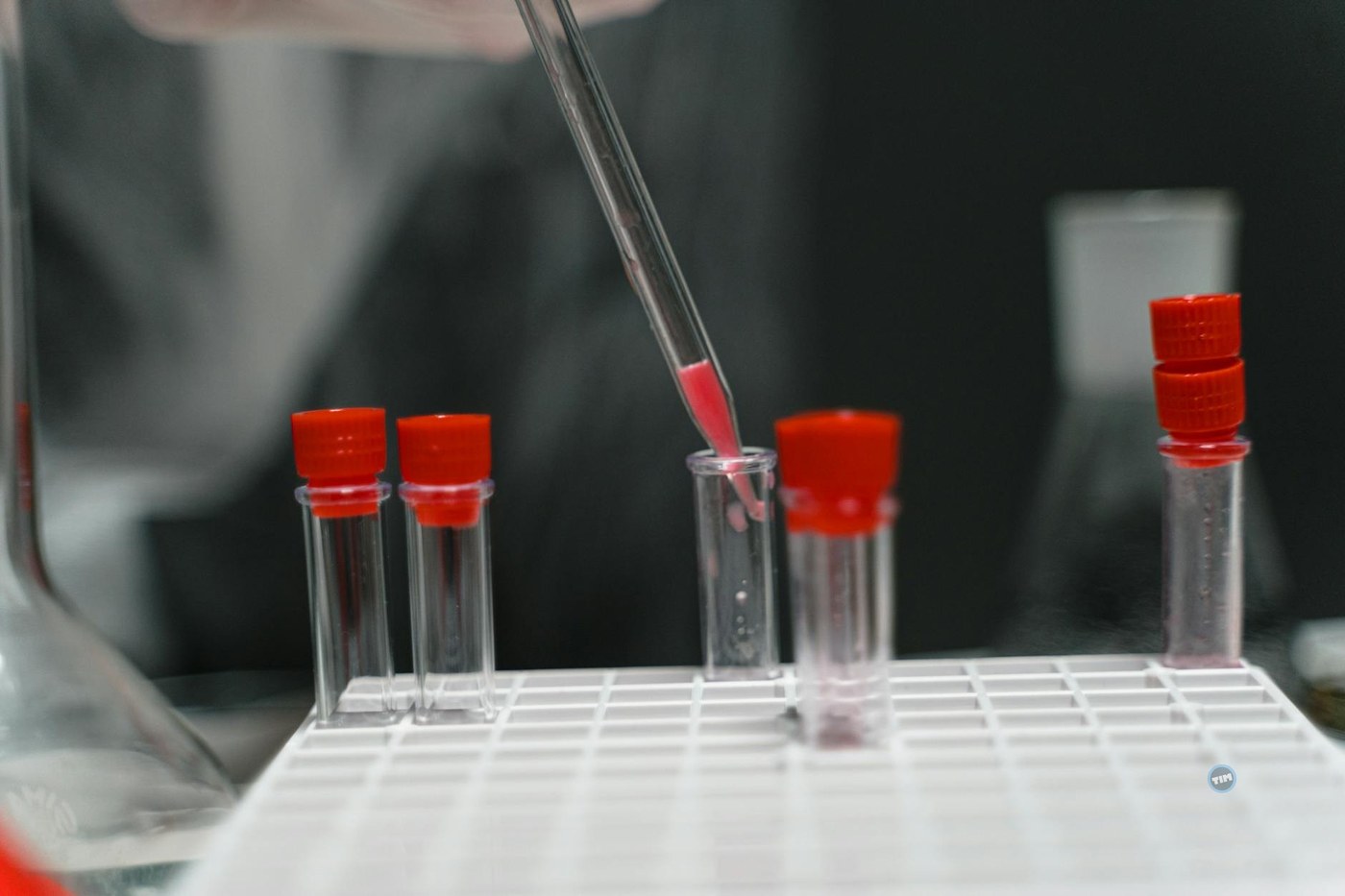 Why is Rocket Pharmaceuticals stock volatile today?