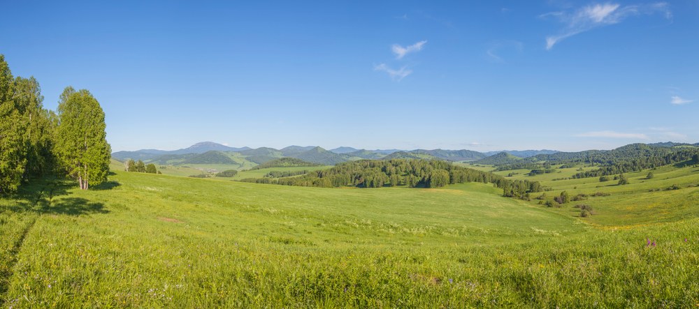 Beyond the Spot Price: The Changing Landscape of Commodity ETFs