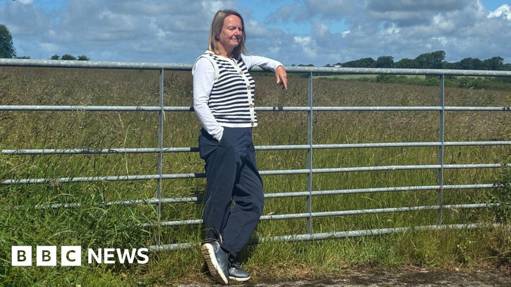 Villagers take fight against Lidl store plans to Welsh government