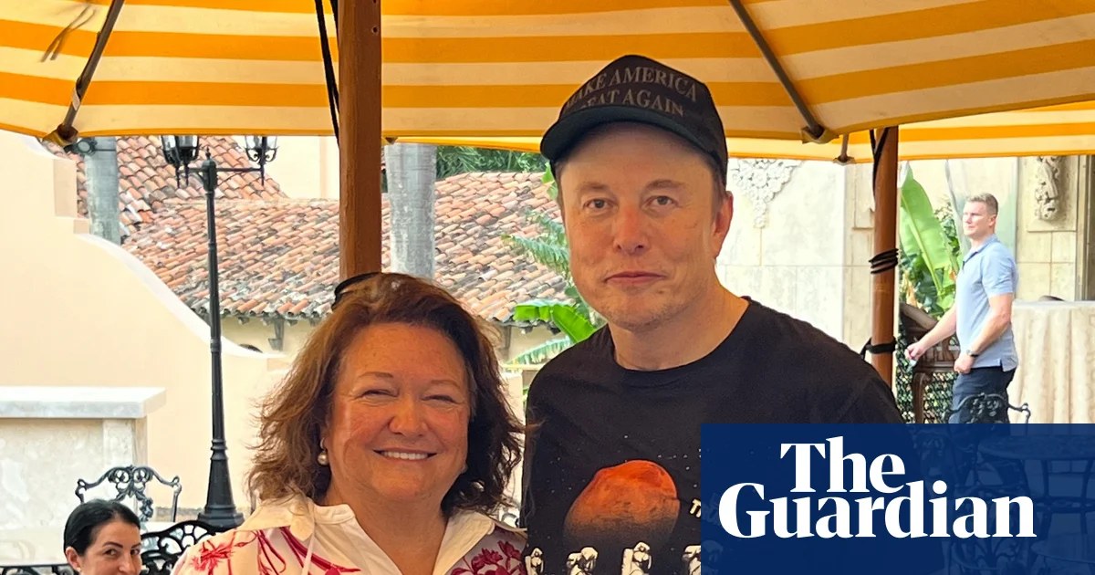 Gina Rinehart’s estimated A$700m profit from SpaceX IPO wiped out as stock price dips
