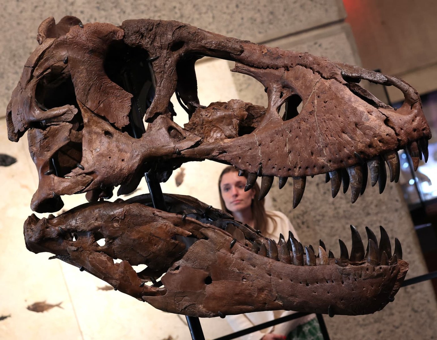 Boom in tech wealth is fueling record prices for dinosaur bones, art and watches, auction houses say