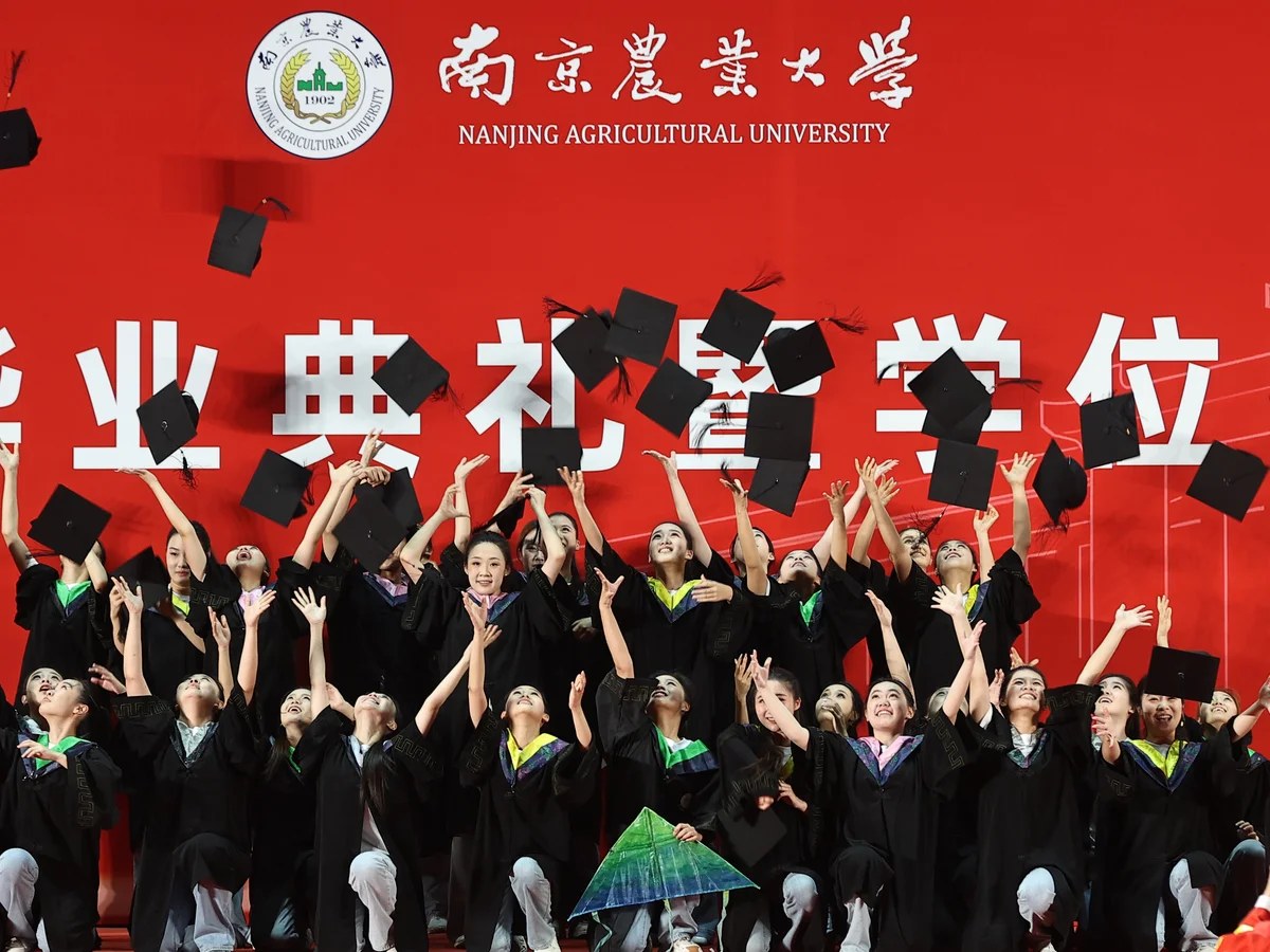 China’s graduate glut: millions of young people enter a job market with little use for them