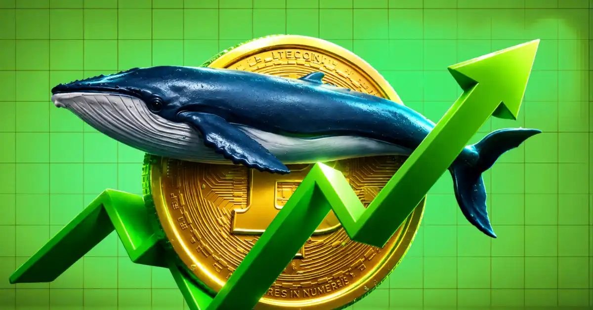 Bitcoin Indicators Flag Best Entry Point for Long-Term Investors