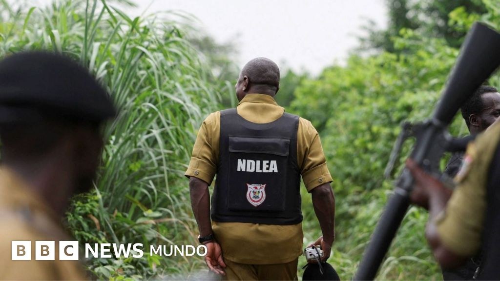 Cómo los carteles mexicanos de la droga han expandido los laboratorios de metanfetamina en África