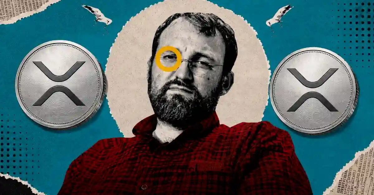 Charles Hoskinson Says Crypto Needs 3-6 More Months, Names Ripple as a Key Player
