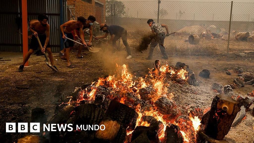 "Si me hubiera demorado cinco minutos más, nos habría arrasado": los testimonios de los afectados por los devastadores incendios en España y Francia