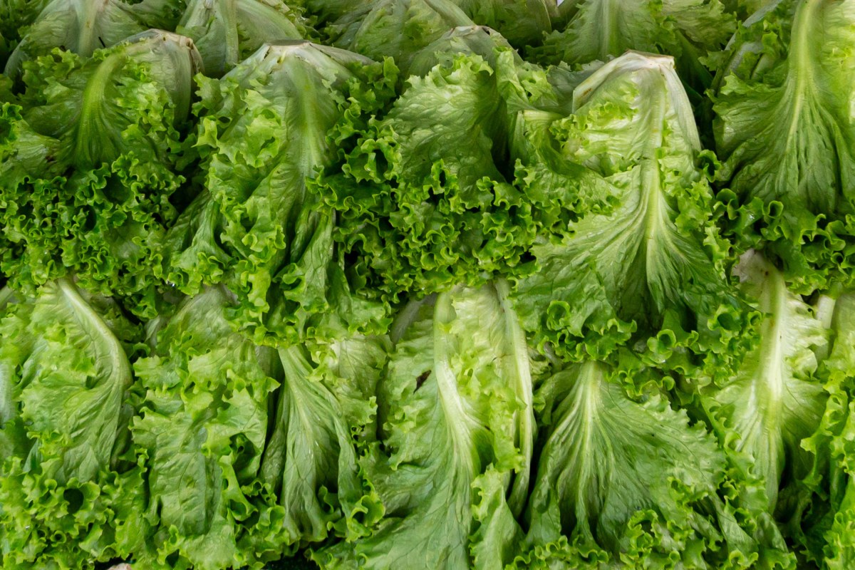 Mexico ministries investigate cyclospora linked to Mexican farm