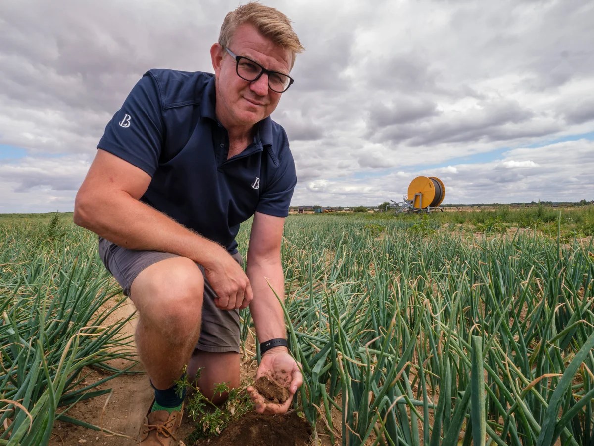 ‘It’s too fast, too big’: speed of climate crisis is devastating crops, say farmers